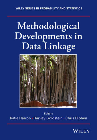 Methodological Developments in Data Linkage: (Wiley Series in Probability and Statistics)