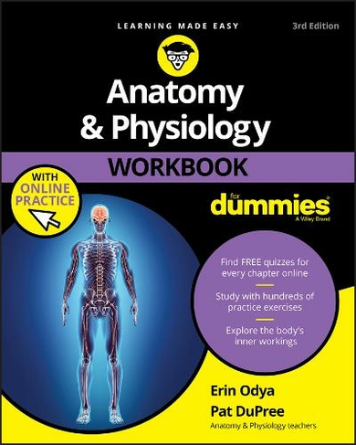 Anatomy & Physiology Workbook For Dummies with Online Practice: (3rd edition)