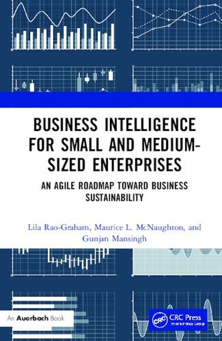 Business Intelligence for Small and Medium-Sized Enterprises: An Agile Roadmap toward Business Sustainability