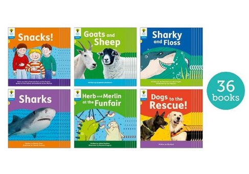 Oxford Reading Tree: Floppy's Phonics Decoding Practice: Oxford Level 3: Class Pack of 36: (Oxford Reading Tree: Floppy's Phonics Decoding Practice 1)