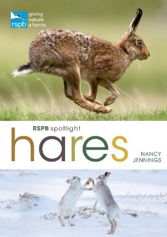 RSPB Spotlight Hares: (RSPB)