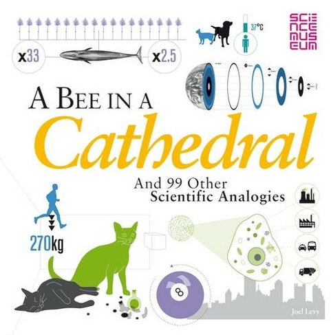 A Bee in a Cathedral: And 99 other scientific analogies