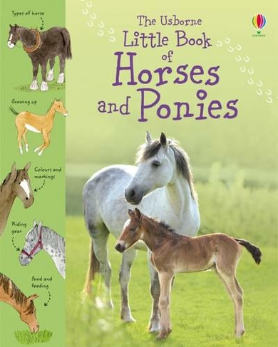Little Book of Horses and Ponies: (Little Books)
