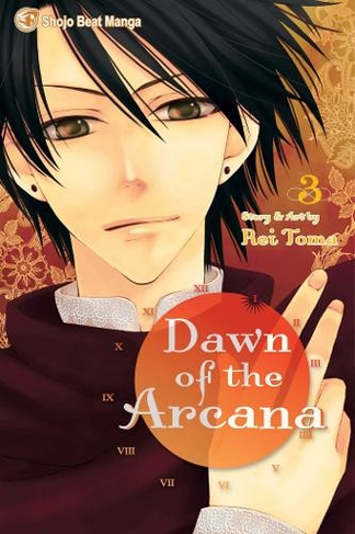 Dawn of the Arcana, Vol. 3: (Dawn of the Arcana 3)