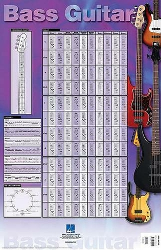 Bass Guitar Poster: 23 Inch. x 35 Inch. Poster