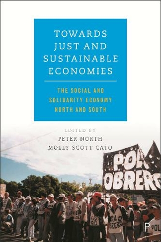 Towards Just and Sustainable Economies: The Social and Solidarity Economy North and South