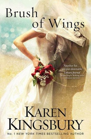 Brush of Wings: (Paperback Original)