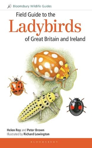 Field Guide to the Ladybirds of Great Britain and Ireland: (Bloomsbury Wildlife Guides)