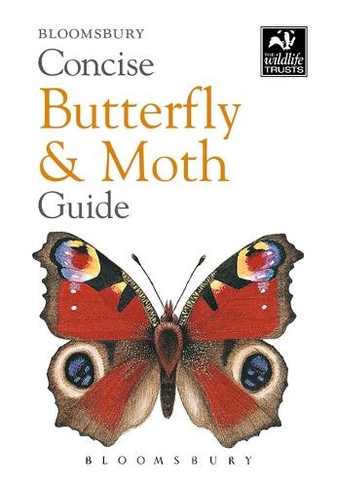 Concise Butterfly and Moth Guide: (Concise Guides)