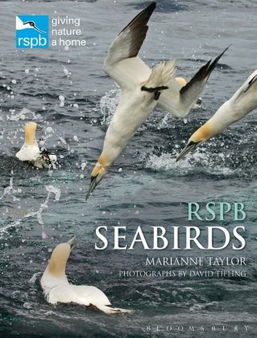 RSPB Seabirds: (RSPB)