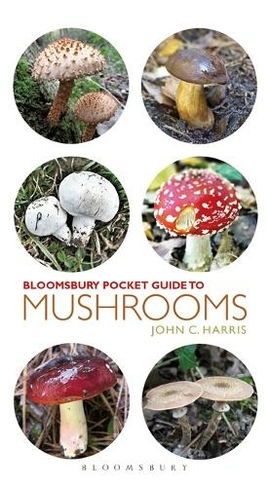 Pocket Guide to Mushrooms: (Pocket Guides)