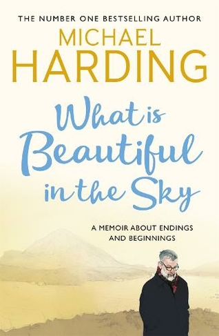 What is Beautiful in the Sky: A book about endings and beginnings
