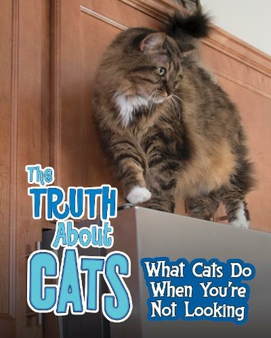 The Truth about Cats: What Cats Do When You're Not Looking (Pets Undercover!)