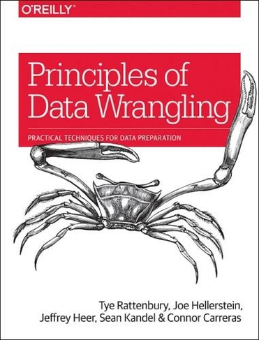 Principles of Data Wrangling: Practical Techniques for Data Preparation