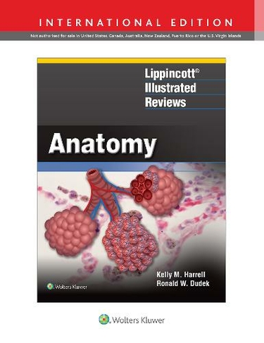 Lippincott (R) Illustrated Reviews: Anatomy: (Lippincott Illustrated Reviews Series First, International Edition)