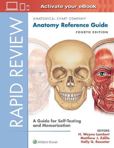 Rapid Review: Anatomy Reference Guide: A Guide for Self-Testing and Memorization (4th edition)