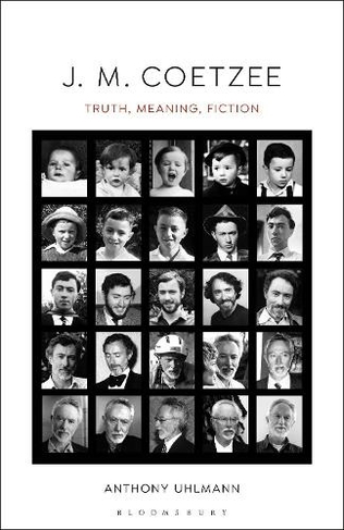 J. M. Coetzee: Truth, Meaning, Fiction