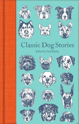 Classic Dog Stories: (Macmillan Collector's Library)