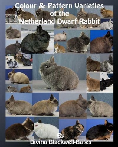 Colour & Pattern Varieties of the Netherland Dwarf Rabbit