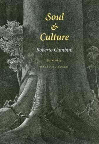 Soul and Culture: (Carolyn & Ernest Fay Series in Analytical Psychology)