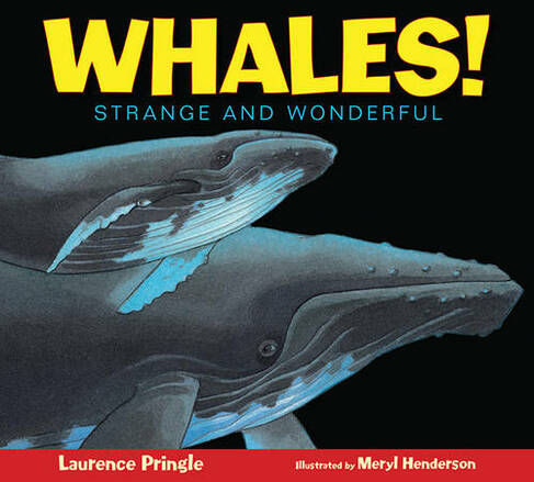 Whales!: (Strange & Wonderful)