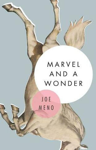 Marvel And A Wonder: A Novel