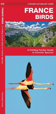 France Birds: A Folding Pocket Guide to Familiar Species (Pocket Naturalist Guide)