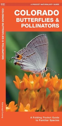 Colorado Butterflies & Pollinators: A Folding Pocket Guide to Familiar Species (Wildlife and Nature Identification 2nd Updated ed.)