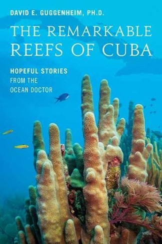 The Remarkable Reefs Of Cuba: Hopeful Stories From the Ocean Doctor