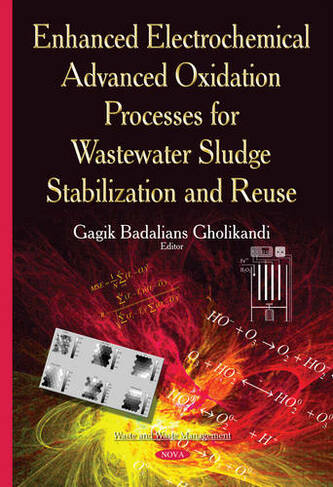Enhanced Electrochemical Advanced Oxidation Processes for Wastewater Sludge Stabilization & Reuse