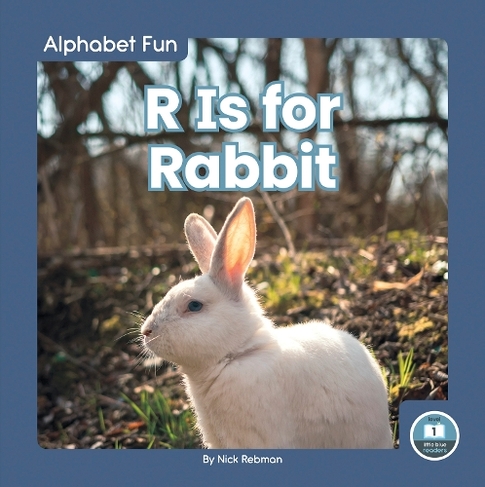Alphabet Fun: R is for Rabbit