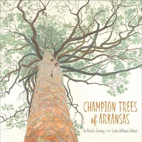 Champion Trees of Arkansas: An Artist's Journey