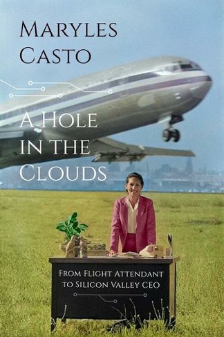 A Hole In The Clouds: From Flight Attendant to Silicon Valley CEO
