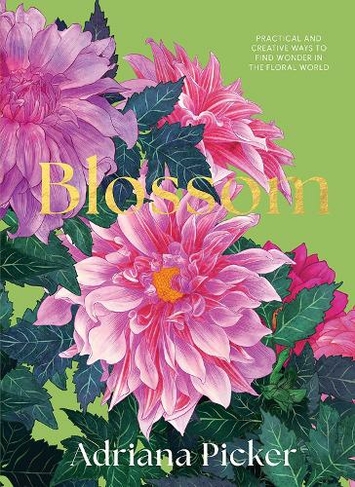 Blossom: Practical and Creative Ways to Find Wonder in the Floral World