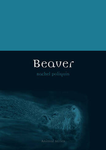 Beaver: (Animal)