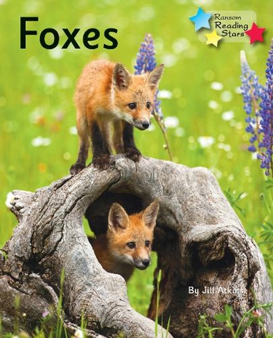 Foxes: (Reading Stars)