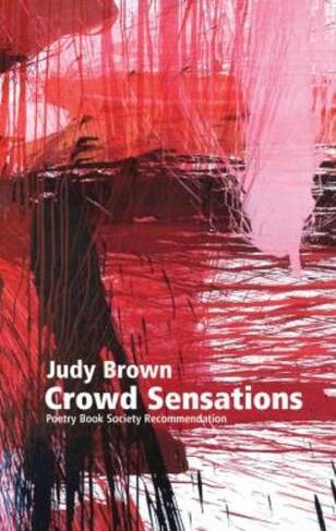 Crowd Sensations: A Novel out of Time