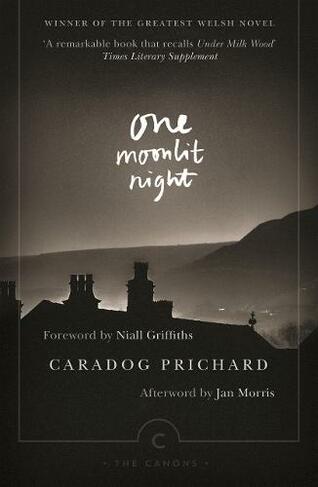 One Moonlit Night: (Canons Main - Canons Edition)
