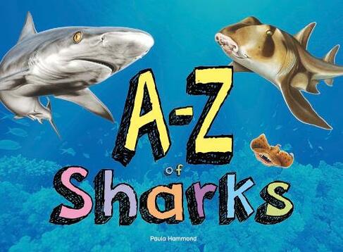 A-Z of Sharks: The alphabet of the shark world, from Angel Shark to Zebra Shark (A-Z)