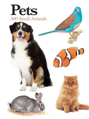 Pets: 300 Small Animals (Mini Encyclopedia)