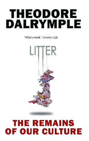 Litter: The Remains of Our Culture (Enlarged edition)