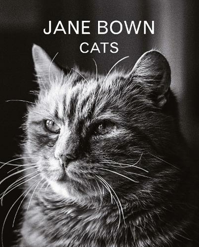 Jane Bown: Cats: (Main)