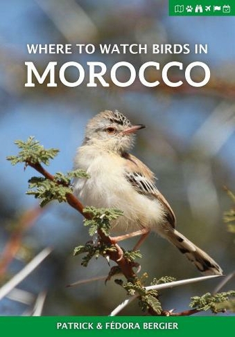 Where to Watch Birds in Morocco: (Where to Watch Guides 2nd Revised edition)