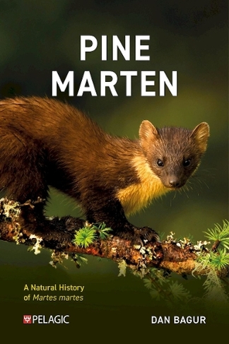 Pine Marten: The Secret Life of Martes martes (Pelagic Monographs)