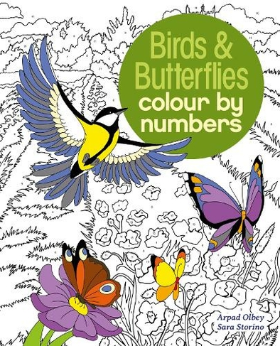 Birds & Butterflies Colour by Numbers: (Arcturus Colour by Numbers Collection)