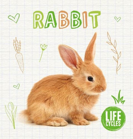 Rabbit: (Life Cycles)