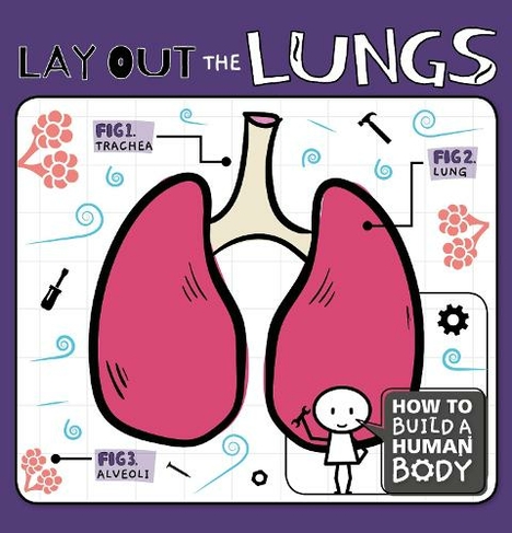 Lay Out the Lungs: (How to Build a Human Body)