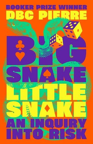 Big Snake Little Snake: An Inquiry into Risk (Main)