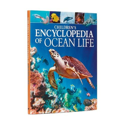 Children's Encyclopedia of Ocean Life: (Arcturus Children's Reference Library)