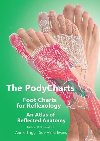 The PodyCharts foot charts for reflexology: An atlas of reflected anatomy (PodyCharts 1)